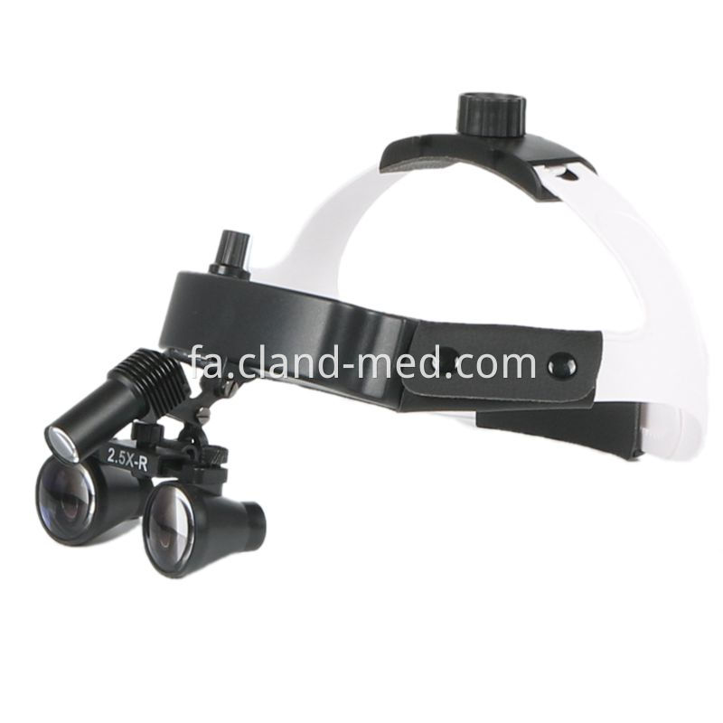 CL-PT0010 (2)